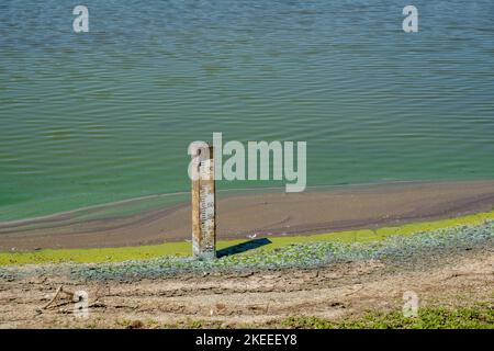 Im Vogelschutzgebiet Parc du Marquenterre, Baie de Somme, Frankreich, liegt der Wasserstand während der Sommertrockenheit von 2022 unter dem Minimum. Stockfoto