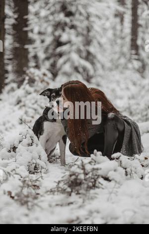 alten Border Collie Stockfoto