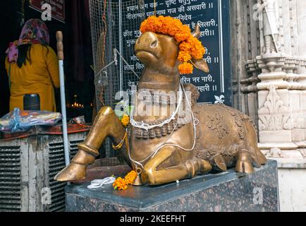 NEU-DELHI - SEP 20: Bronzestatue der Holly Cow, bekannt als Nandi-Kuh oder Stier mit Safrankranz auf einem Kopf vor dem Tempel in Neu-Delhi am September Stockfoto
