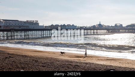 Brighton UK 12. November 2022 - Ein Hundespaziergänger genießt einen schönen sonnigen Morgen am Brighton Strand am Pier bei ungewöhnlich warmen Temperaturen für die Jahreszeit : Credit Simon Dack / Alamy Live News Stockfoto