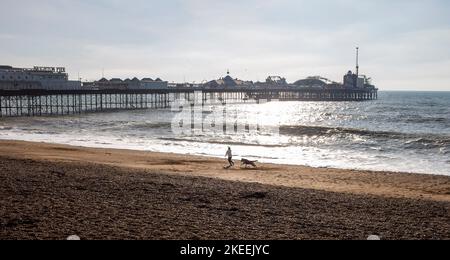 Brighton UK 12. November 2022 - Ein Hundespaziergänger genießt einen schönen sonnigen Morgen am Brighton Strand am Pier bei ungewöhnlich warmen Temperaturen für die Jahreszeit : Credit Simon Dack / Alamy Live News Stockfoto