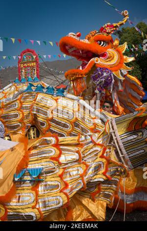 Dorfbewohner führen einen traditionellen, farbenfrohen Drachentanz auf dem zehnjährigen Da Jiu Festival-Gelände, kam Tin, New Territories, Hong Kong, 2015, auf Stockfoto