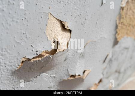 Nahaufnahme der abblätternden Wandfarbe. Stockfoto