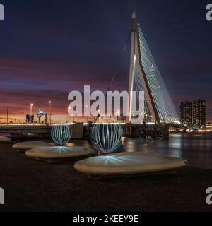 Lichtmalerei in Rotterdam Niederlande - Erasmusbrücke bei Nacht Stockfoto