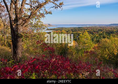 Blick auf Tal und See pepin vom frontenac State Park minnesota im Herbst Stockfoto