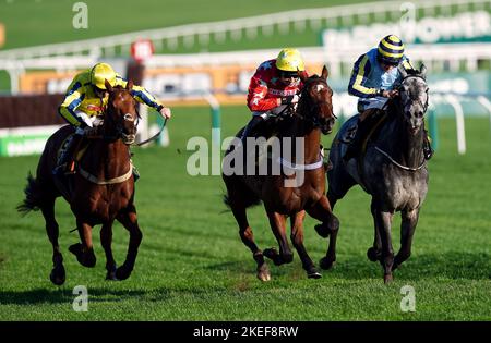 Drehbuchautor unter Jockey Paddy Brennan (weiß/rote Seide) auf dem Weg zum Sieg der JCB Triumph Trial Juvenile Hürde am zweiten Tag des November-Meetings auf der Pferderennbahn Cheltenham. Bilddatum: Samstag, 12. November 2022. Stockfoto