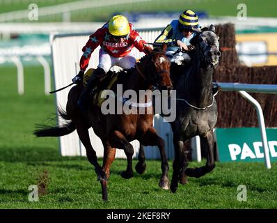 Drehbuchautor unter Jockey Paddy Brennan (weiß/rote Seide) auf dem Weg zum Sieg der JCB Triumph Trial Juvenile Hürde am zweiten Tag des November-Meetings auf der Pferderennbahn Cheltenham. Bilddatum: Samstag, 12. November 2022. Stockfoto