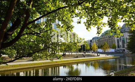 Grüne Bäume in der Düsseldorfer Innenstadt am Kö-Bogen I gegenüber dem öffentlichen Hofgarten. Stockfoto