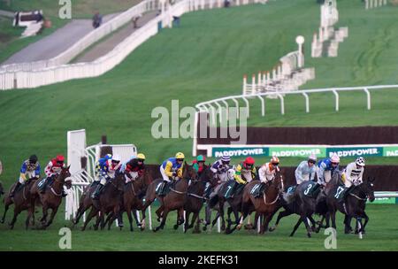 Läufer und Reiter beim Stirrups Restaurant und Cocktail Bar Evesham Mares Open National Hunt Flat Race am zweiten Tag des November Meetings auf der Cheltenham Racecourse. Bilddatum: Samstag, 12. November 2022. Stockfoto