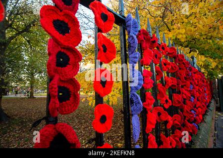 Marlow, Buckinghamshire, Großbritannien. 12.. November 2022. Die Marlow Poppy Display-Gruppe von lokalen Damen hat über 5.000 gestrickte und gehäkelte Mohnblumen gemacht, die jetzt am Geländer der All Saints Church und am Geländer des Higginson Park am Causeway in Marlow, Buckinghamshire, zu sehen sind. Seit 2020 hat die Gruppe fast achttausend Pfund für die Marlow British Legion Poppy Appeal gesammelt. Am morgigen Morgen wird in der Stadt ein Gedenkgottesdienst stattfinden, um den Gedenktag und all die Kriegstoten zu feiern, die für unsere Freiheit gekämpft haben. Quelle: Maureen McLean/Alamy Live News Stockfoto