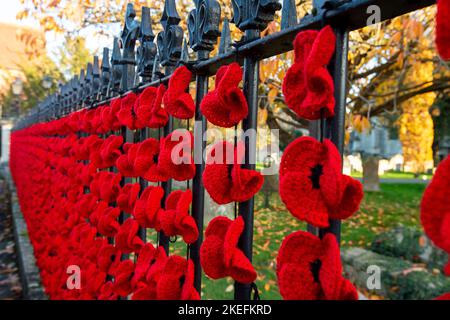 Marlow, Buckinghamshire, Großbritannien. 12.. November 2022. Die Marlow Poppy Display-Gruppe von lokalen Damen hat über 5.000 gestrickte und gehäkelte Mohnblumen gemacht, die jetzt am Geländer der All Saints Church und am Geländer des Higginson Park am Causeway in Marlow, Buckinghamshire, zu sehen sind. Seit 2020 hat die Gruppe fast achttausend Pfund für die Marlow British Legion Poppy Appeal gesammelt. Am morgigen Morgen wird in der Stadt ein Gedenkgottesdienst stattfinden, um den Gedenktag und all die Kriegstoten zu feiern, die für unsere Freiheit gekämpft haben. Quelle: Maureen McLean/Alamy Live News Stockfoto