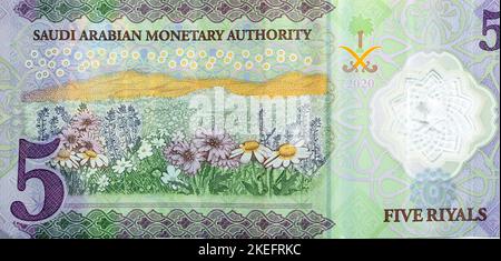 Großes Fragment der Rückseite des neuen Polymers 5 SAR fünf Saudi-Arabien Riyals Geldscheine Banknoten Serie 1441 AH 2020 verfügt über ein Feld von Stockfoto