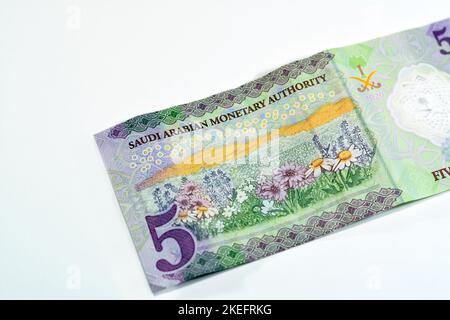 Rückseite des neuen Polymers 5 SAR Five Saudi Arabia riyals Cash Money Banknote Bill Serie 1441 AH 2020 verfügt über ein Blumenfeld, selektiver FOC Stockfoto