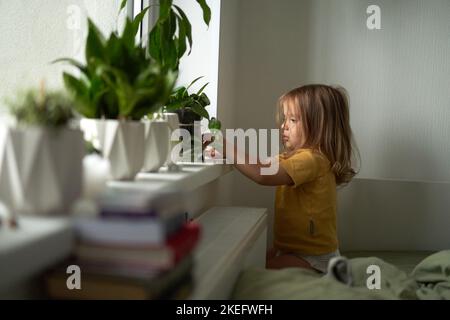 An einem bewölkten Herbsttag spielt das Kind am Fenster.häusliches Leben. Inneneinrichtung. Grüne Blumen auf der Fensterbank. Speicherplatz kopieren. Selektiver Fokus. Stockfoto