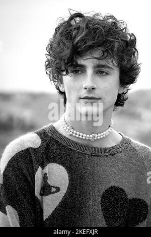 Rom, Italien. 12.. November 2022. Timothée Chalamet nimmt am 12. November 2022 an der Fotokonferenz „Bones and All“ im Hotel De La Ville in Rom, Italien, Teil. Kredit: dpa/Alamy Live Nachrichten Stockfoto