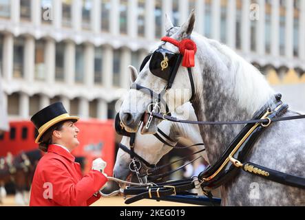 London, Großbritannien, November 12. 2022. Bei der Lord Mayor's Show Parade in der historischen Square Mile gab es strahlenden Sonnenschein. Ein Bräutigam neigt sich vor der Prozession im Guildhall Yard zu Pferden. Kredit : Monica Wells/Alamy Live Nachrichten Stockfoto