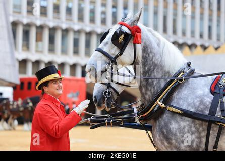 London, Großbritannien, November 12. 2022. Bei der Lord Mayor's Show Parade in der historischen Square Mile gab es strahlenden Sonnenschein. Ein Bräutigam pflegt vor der Prozession Pferde. Kredit : Monica Wells/Alamy Live Nachrichten Stockfoto