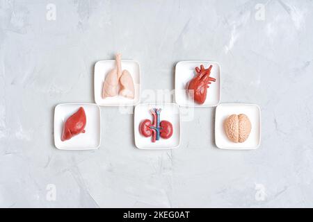 Erklärung von Spenden und Transplantationen verwandtes Konzept: Spielzeug menschliche Körperorgane in kleinen weißen Tabletts isoliert auf grauem Hintergrund. Stockfoto