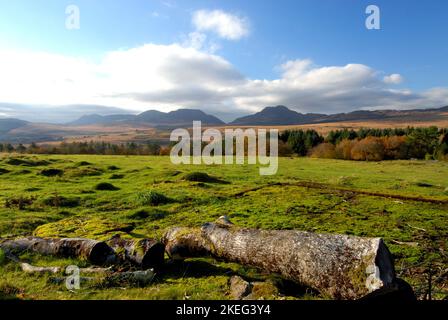 Die Rhinogydd aus Bronaber, Snowdonia Stockfoto