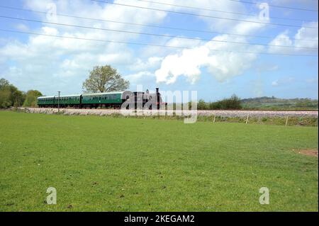 '30053' und Zug in der Nähe von Northiam. Stockfoto