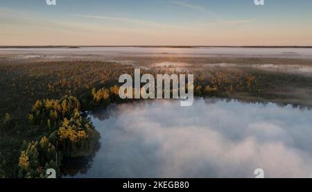 Eine atemberaubende Luftkulisse eines Sees, umgeben von üppigen Pinienwäldern in Nigula, Estland Stockfoto