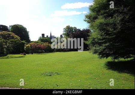 Cardiff Castle vom Bute Park aus gesehen. Stockfoto