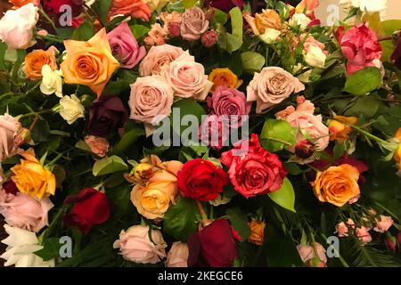 Bunte Rosen auf einem Sarg bei einer Beerdigung Stockfoto