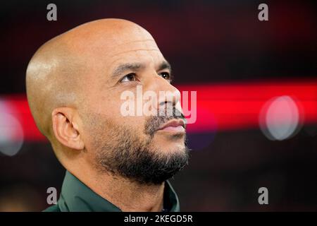 EINDHOVEN - AZ Alkmaar-Trainer Pascal Jansen vor dem niederländischen Eredivisie-Spiel zwischen PSV Eindhoven und AZ im Phillips-Stadion am 12. November 2022 in Eindhoven, Niederlande. ANP | Niederländische Höhe | ED VAN DE POL Stockfoto