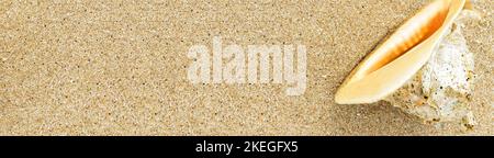 Muschel auf Sand, Strand und große Muschel, Panorama-Ansicht von oben für Textur Hintergrund. Konzept von Reisen, Urlaub, Resort, Natur und Sommer. Stockfoto
