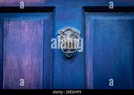 Löwenkopftür klopft an eine blaue Holztür Stockfoto
