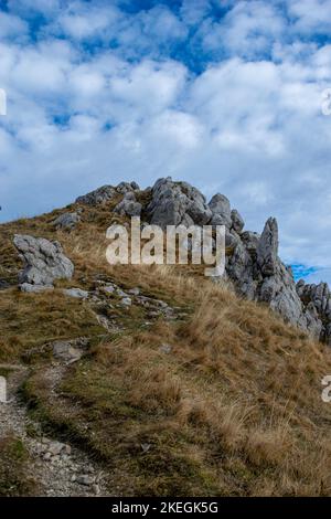 Atemberaubende Farben im Herbst in den Bergen. Stockfoto