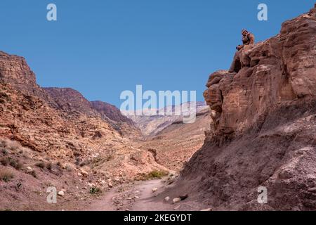 Robuste Landschaft Wadi Dana mit Schäfer Jordan Stockfoto