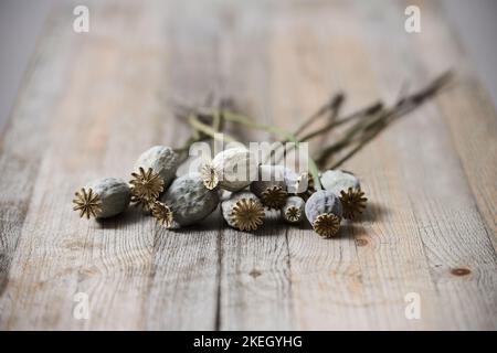 Getrocknete Mohnköpfe auf Holztisch Stockfoto