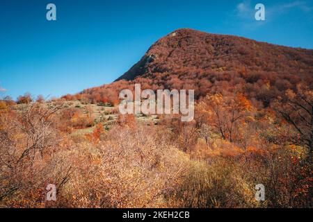 Farbenfrohes Herbstlaub Parco Nazionale Abruzzen Italien Stockfoto