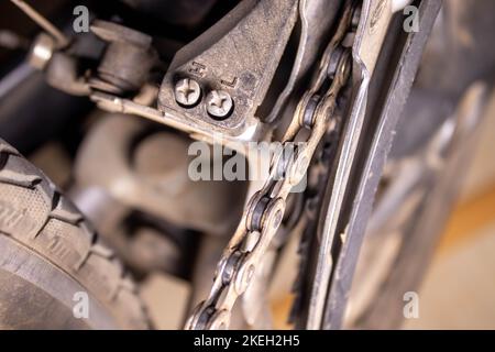 Nahaufnahme des Schaltsystems des Fahrrads gegen grünes Gras Stockfoto