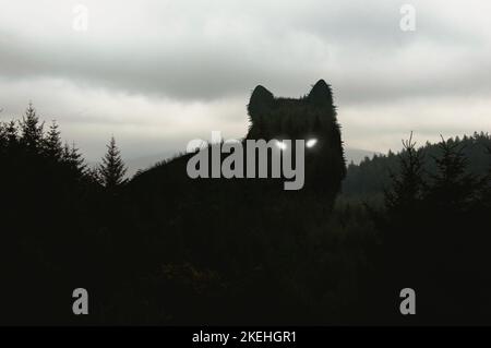 Eine Silhouette eines riesigen Wolfes mit leuchtenden Augen. Steht über einem Winterwald aus Bäumen. Stockfoto