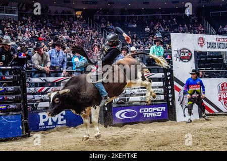 Edmonton, Kanada. 10.. November 2022. Brock Radford in Aktion bei den Canadian National Professional Bull Riding Championships. Kredit: SOPA Images Limited/Alamy Live Nachrichten Stockfoto