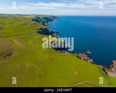 St. Abbs Head Küstenklippen Luftaufnahme im Sommer in der Nähe des Dorfes St. Abbs, Berwickshire, Schottland, Großbritannien. Stockfoto