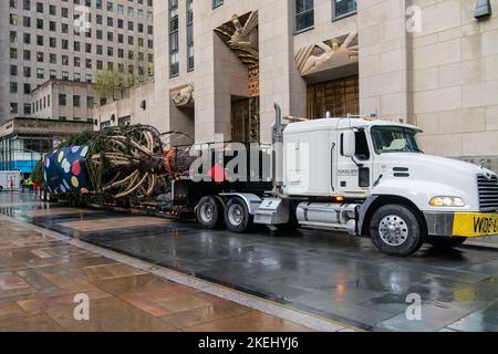 New York, New York, USA. 12.. November 2022. 2022 Rockefeller Center Christmas Tree, eine 82-Fuß-Norwegerfichte, die nach New York City geliefert wurde (Bild: © Lev Radin/Pacific Press via ZUMA Press Wire) Stockfoto