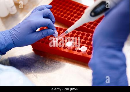 Der Techniker arbeitet an der Untersuchung der Analysenprobe in Reagenzgläsern Stockfoto