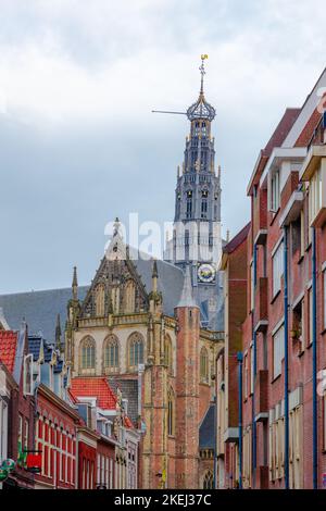 De Grote Kerk oder St. Bavokerk, eine protestantische Kirche, auf dem Grote Markt, Haarlem, Nordholland, Niederlande Stockfoto