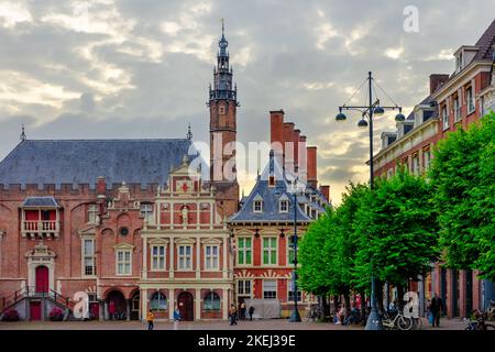 De Grote Kerk oder St. Bavokerk, eine protestantische Kirche, auf dem Grote Markt, Haarlem, Nordholland, Niederlande Stockfoto