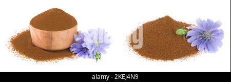 Chicorée Blume und Pulver von Instant Chicorée auf einem weißen Hintergrund. Cichorium intybus. Stockfoto