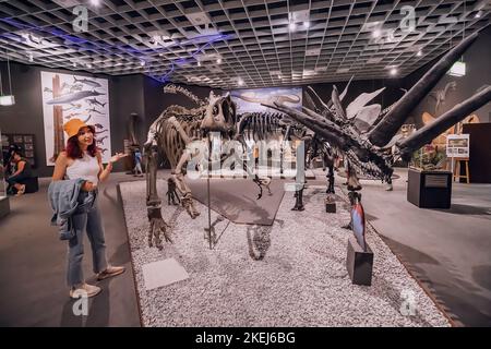26. Juli 2022, Münster Natural History Museum, Deutschland: Besuchermädchen bei der Ausstellung von schrecklichen Dinosaurierskeletten aus der Jurazeit und Kreide Stockfoto