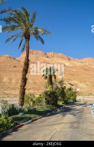 Felsen der Judäischen Wüste in der Nähe des Masada Parks. Die Wüste im Westen Israels. Stockfoto