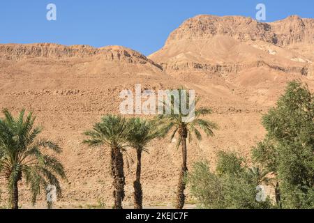 Felsen der Judäischen Wüste in der Nähe des Masada Parks. Die Wüste im Westen Israels. Stockfoto