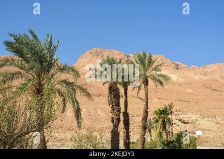 Felsen der Judäischen Wüste in der Nähe des Masada Parks. Die Wüste im Westen Israels. Stockfoto