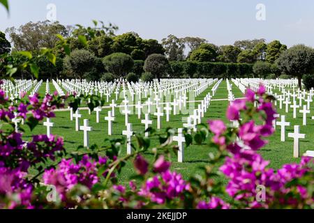 Nordafrikanischer amerikanischer Friedhof, zu Ehren der Opfer des 2. Weltkrieges. Weiße Grabsteine und grüne gepflegte Felder Gedenkstätte und Erinnerung an Kämpfer Stockfoto