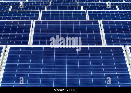 Nahaufnahme von Solarzellen. Solarenergie. Grüne Energie. Alternativen zu fossilen Brennstoffen. Umweltfreundlich. Erneuerbare Energien. Schluss mit fossilen Brennstoffen. Stockfoto