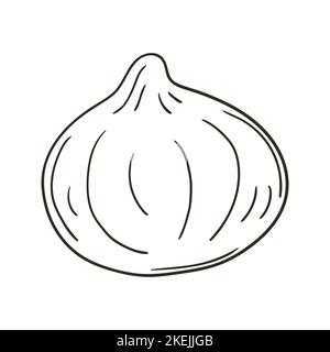 Feigen. Farbgebung im handgezeichneten Stil. Kinderzeichnungen, exotische Früchte. Symbol, Schild, PIN-Symbol-Aufkleber Stock Vektor